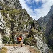 Ingeniero mecánico con más de 5 años de experiencia, con Master en Profesorado (Especialidad Matemáticas).